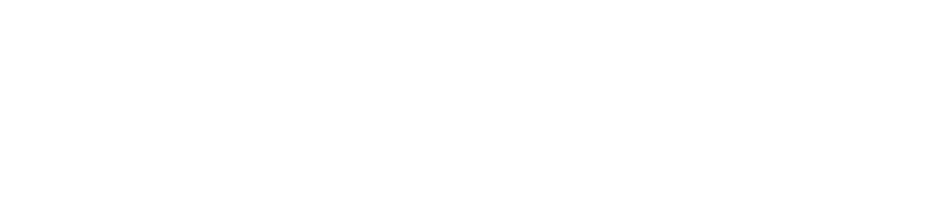 RSM Logo